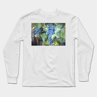 Red Wine Grapes Summer Vineyard Long Sleeve T-Shirt